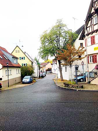 Der Blick von der Katharinen-Kirche, October 2015.