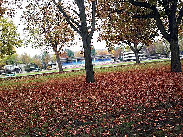 Ludwigsburg Oct. 23, 2015 Ludwig-Jahn Stadium